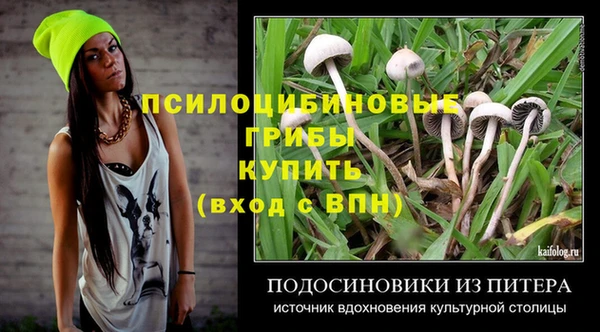 spice Михайловск
